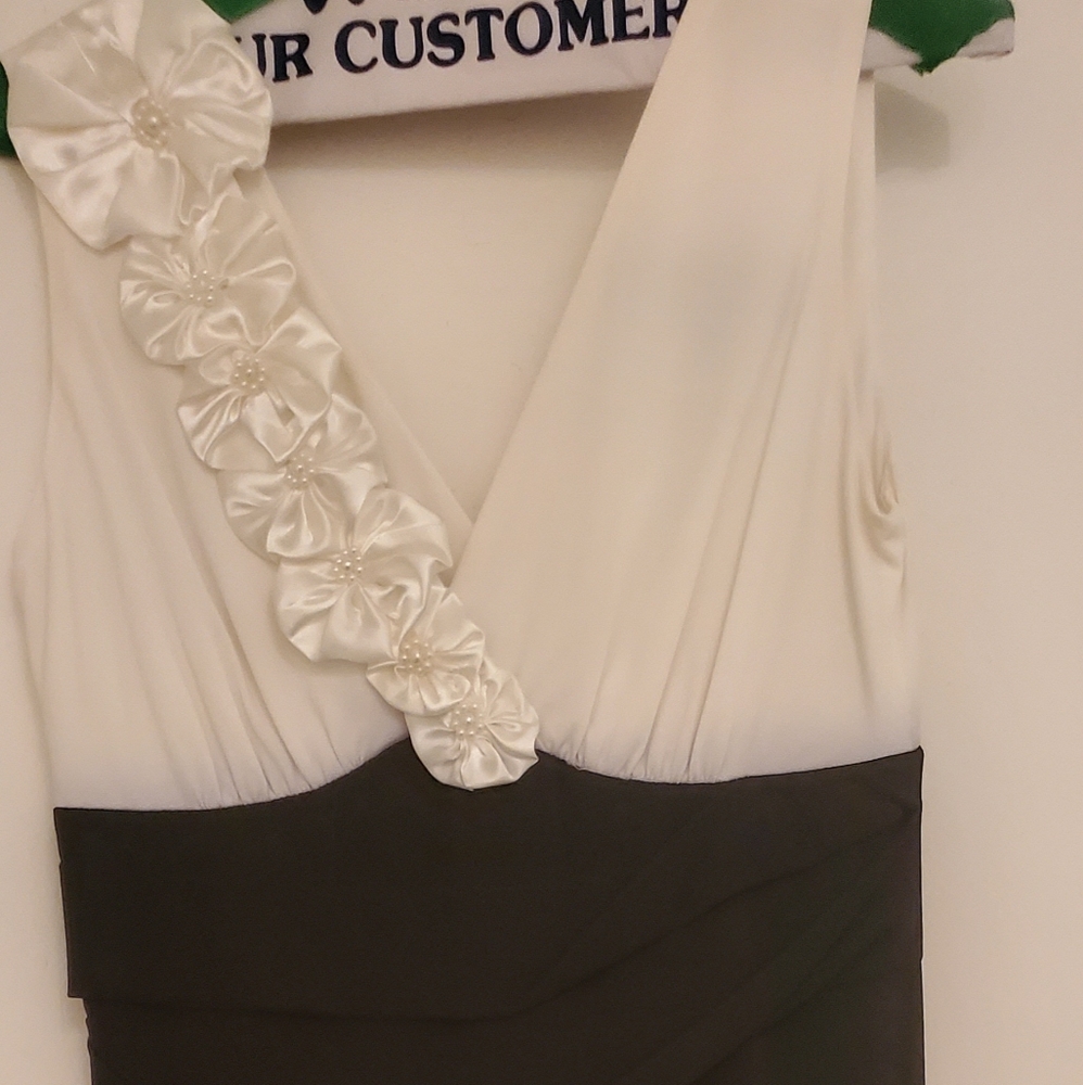 Women's Dress | Size 4P